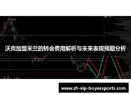 沃克加盟米兰的转会费用解析与未来表现预期分析