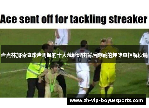 盘点林加德遭球迷调侃的十大荒诞理由背后隐藏的趣味真相解读篇