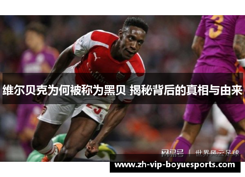 维尔贝克为何被称为黑贝 揭秘背后的真相与由来