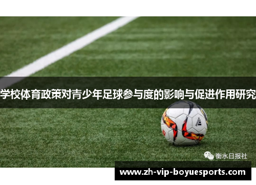 学校体育政策对青少年足球参与度的影响与促进作用研究